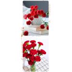 Carnation red